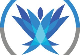 Training Camp Spark Logo