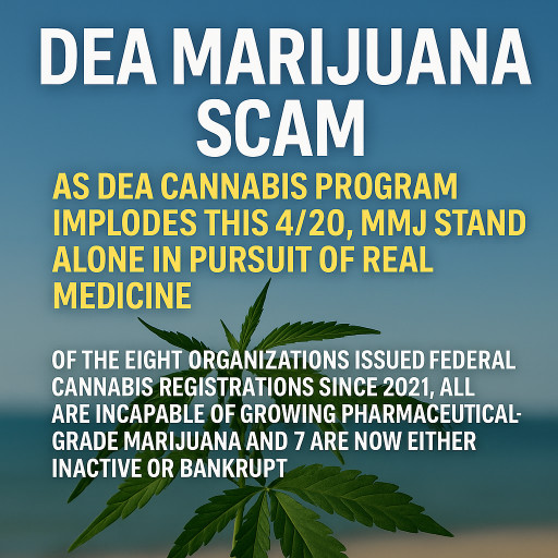 DEA MARIJUANA SCAM: As DEA Cannabis Program Implodes This 4/20, MMJ Stands Alone in Pursuit of Real Medicine