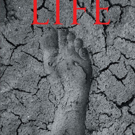 Don Baunsgard's New Book 'This Thing Called Life' is a Touching Account That Shares a Life That Reflects Godliness and Faith