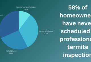 Homeowners and Termite Inspections