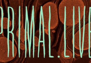 Primal.Live / 11.8.17 / NeueHouse / NYC
