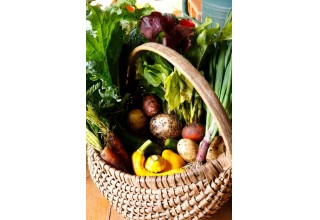 High altitude farming at Knapp Ranch