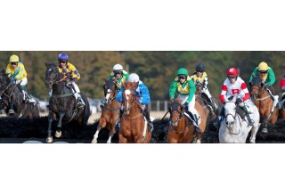 Amazing Horses and Jockeys Run the Carolina Cup