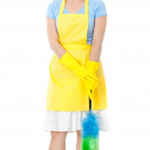 Go Menage Takes The Drudgery Out Of Housecleaning