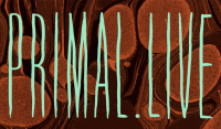 Primal.Live