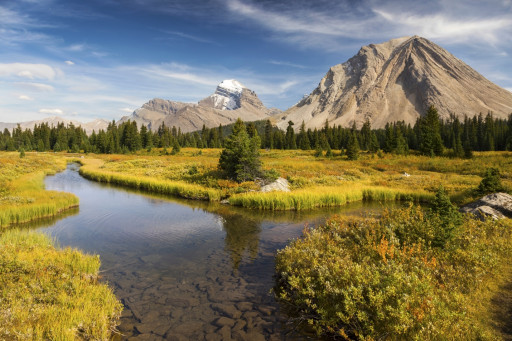CORRECTION FROM SOURCE: Announcing the 2026 Central Alberta Consumer Choice Award Winners