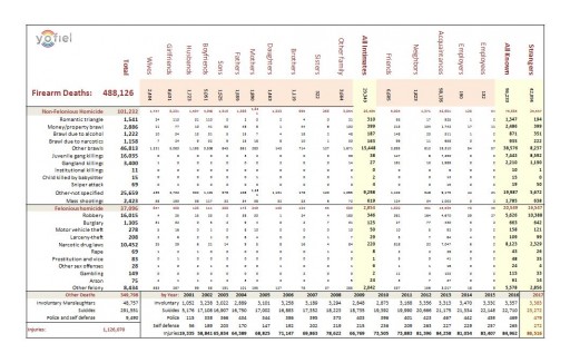 'The 9/16 Report: Firearm Casualties and Solutions' is Released