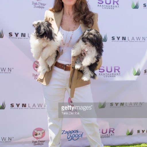 Lisa Vanderpump's Annual 'World Dog Day' Returns to West Hollywood Park