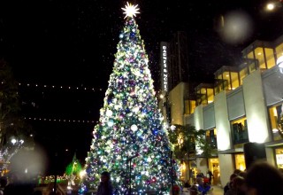 Snow in Santa Monica! Holiday Tree Events Use Snow to Create Happiness