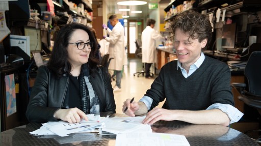 A New Culprit of Cognitive Decline in Alzheimer's Disease