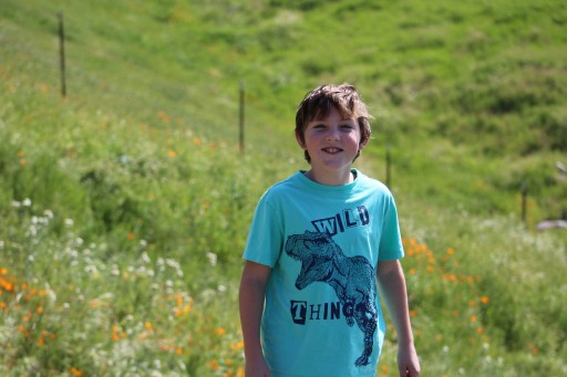 Diabetic Alert Service Dog to Be Delivered to Bakersfield, CA Youth