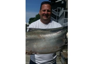 Robert Nelms, Robert Nelms Trenton, Robert Nelms New Jersey