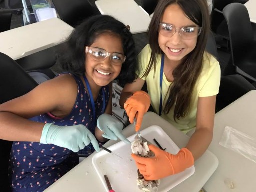 LMU, Project Scientist to Host STEM-Focused Summer Academy for Girls