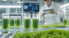 BRKTech-Driving-Sustainability-With-Algae-Biofuels
