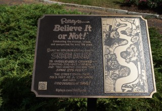 Ripley's Believe It or Not! Odd Spot: Snake Alley