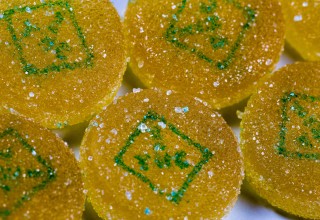 Geocann Edible Utilizing VESIsorb