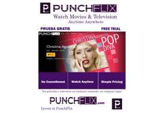 PunchFlix 