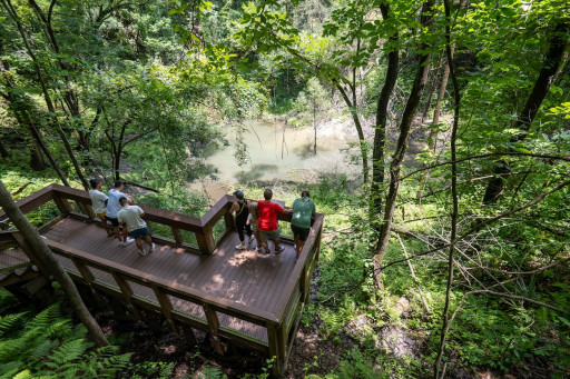 Looking to Beat the Heat this Summer? Live Wildly Shares Florida's Top Five Spots to Cool Off in Nature