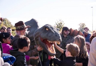 An unforgettable experience