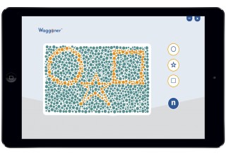 Color Vision Testing Made Easy on iPad