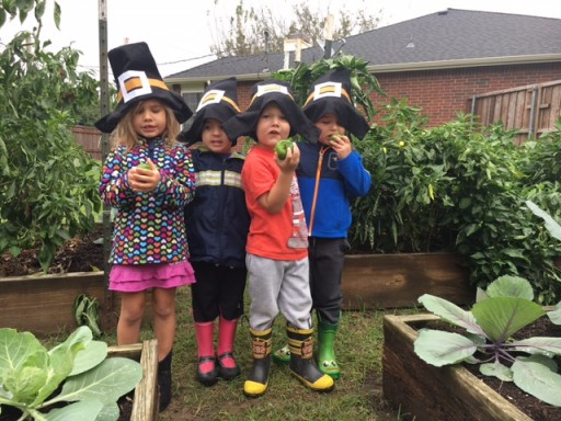 Healthy Eating Starts Early: Growing Healthy Kids With CACFP and Farm to School ECE