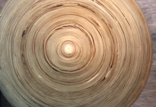 Art Gallery Pure Features Sculpture in Living Well Dallas