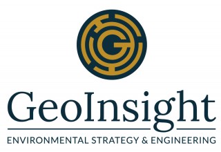 GeoInsight