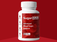 SugarMute 2025 Review