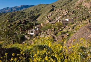 Hillside Estate View