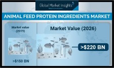Animal Feed Protein Ingredients Industry Forecast 2026