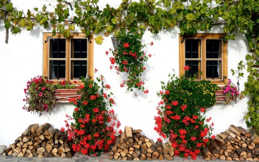 Yards Today Offers Advice and Products to Beautify Homes Inside and Out