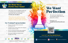 The Perfect Chess Set