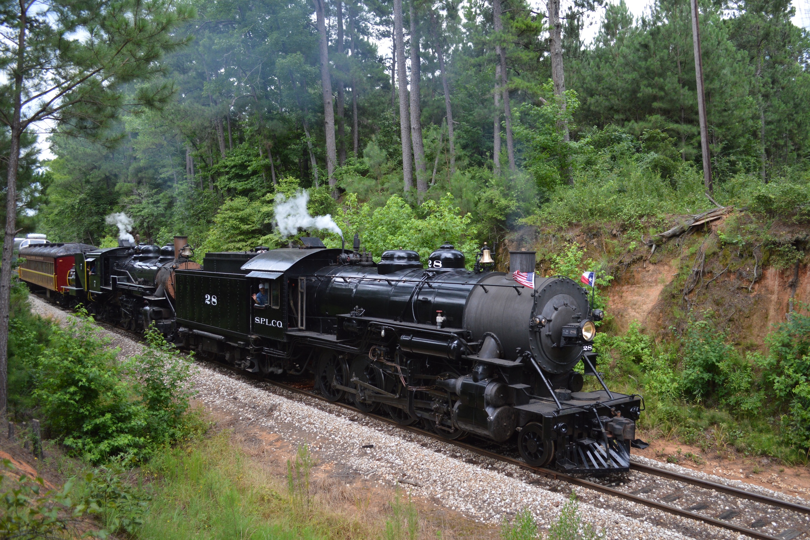 Piney Woods Express Steam