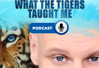 Steven Diamond's Podcast