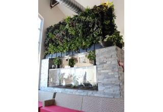 Living Wall