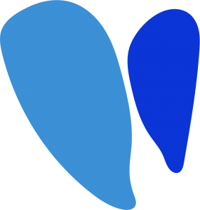 Vesalius Cardiovascular