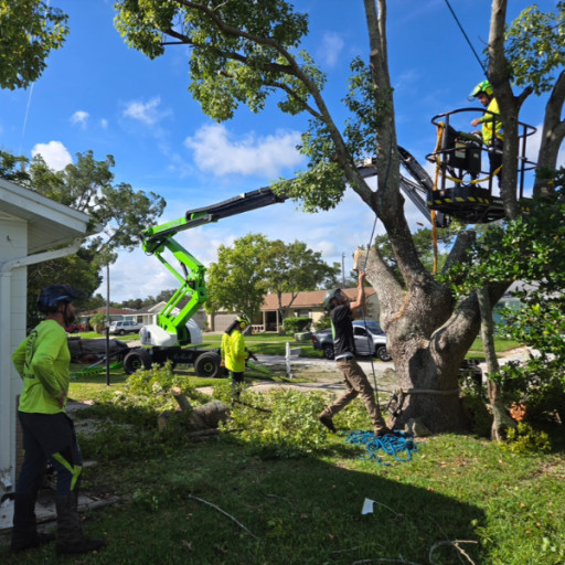 SB Tree Service Brings Certified Expertise and Reliable Tree Care to Homes and Businesses Across Volusia and Flagler Counties
