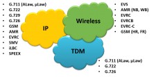 GL's TDM, IP and Wireless products support voiceband codecs