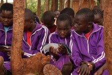 Truth About Drugs booklets