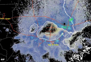 Termite Swarm on Weather Radar