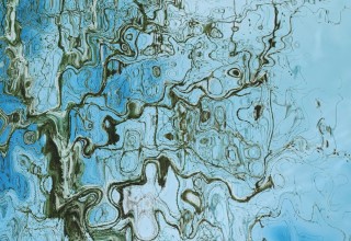 Old Tree in Autumn Sunset