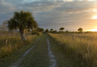 Ochopee, Florida - Credit Live Wildly