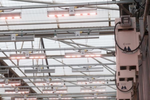Traditional Ag Group in Salinas Deploys California LightWorks LED Systems, Becomes Cannabis Powerhouse
