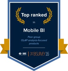Mobile BI - Top-ranked Peer group: OLAP analysis-focused products