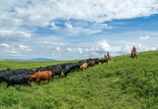 Open Range Market is a new place to buy and sell local meat