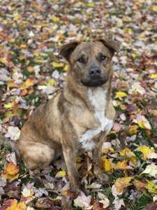 Grand Prize Winner, Demi