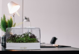 GroFast In the Office