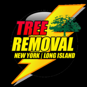 New York long island Tree service