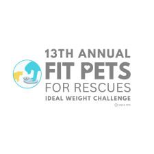 13th Annual Fit Pets for Rescues