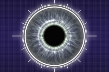 Human Identification